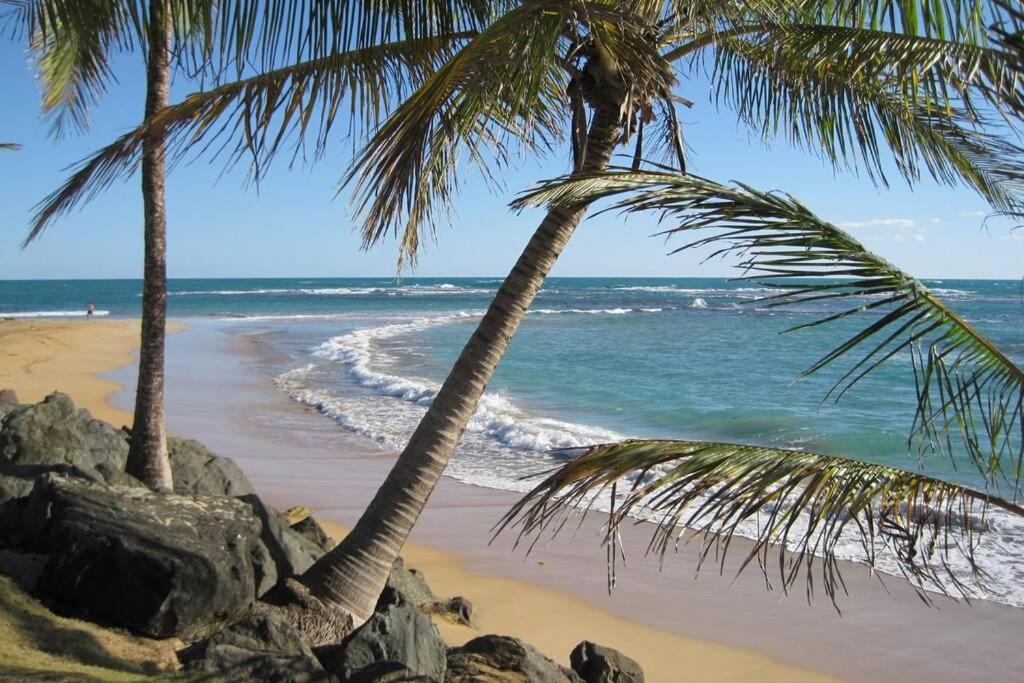 ריו גראנדה Comfortable And Affordable Deal Close To Beach And Rainforest מראה חיצוני תמונה